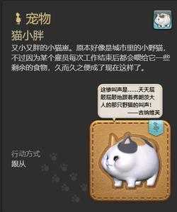 ff14宠物怎么解锁