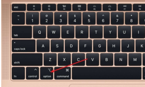 mac键盘上的option是什么键?