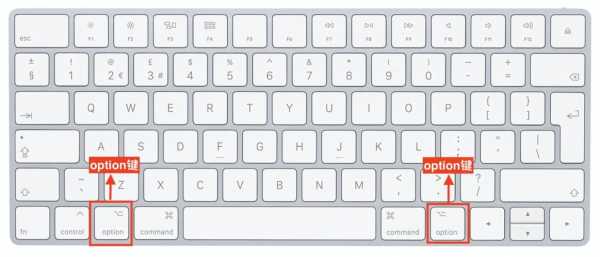 MAC的option键在哪?