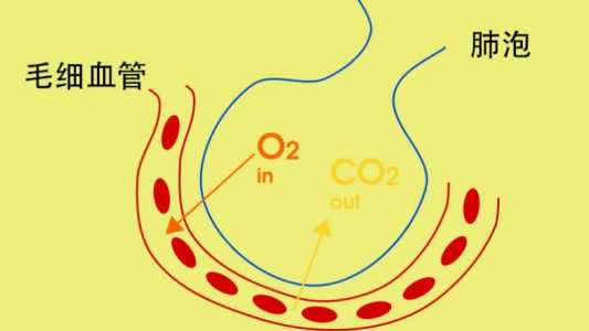 缺氧二氧化碳处理方法