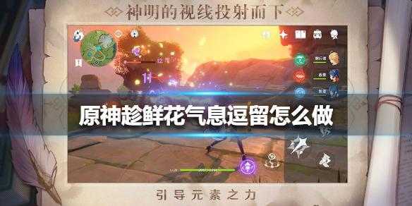 原神趁鲜花气息逗留任务怎么做